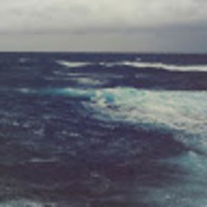 Meet your Posher, Cathy